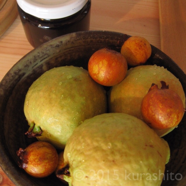 グアバ・キバンジロウの実 グアバ・キバンジロウの実