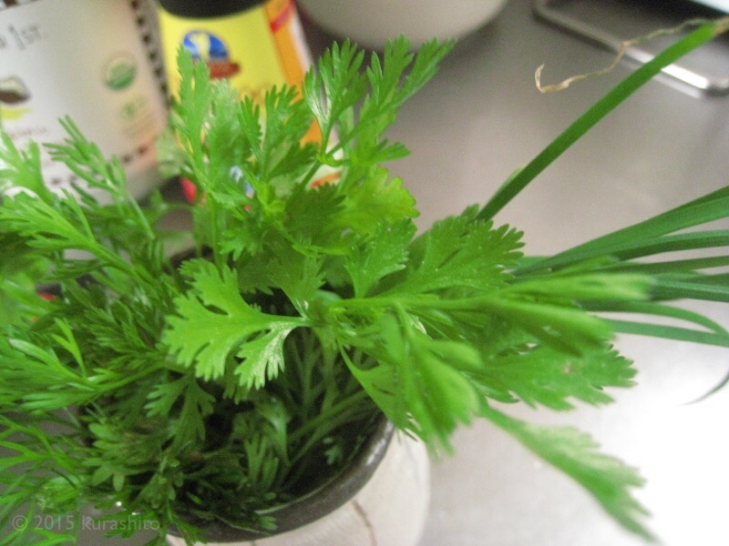 庭のパクチーとニラで、パッタイ風エスニック焼きそば 庭のパクチーとニラで、パッタイ風エスニック焼きそば