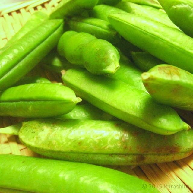 さやつきのエンドウ豆