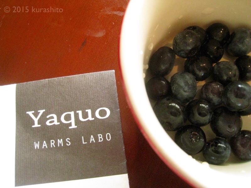 f:id:kurashito:20160717122825j:plain