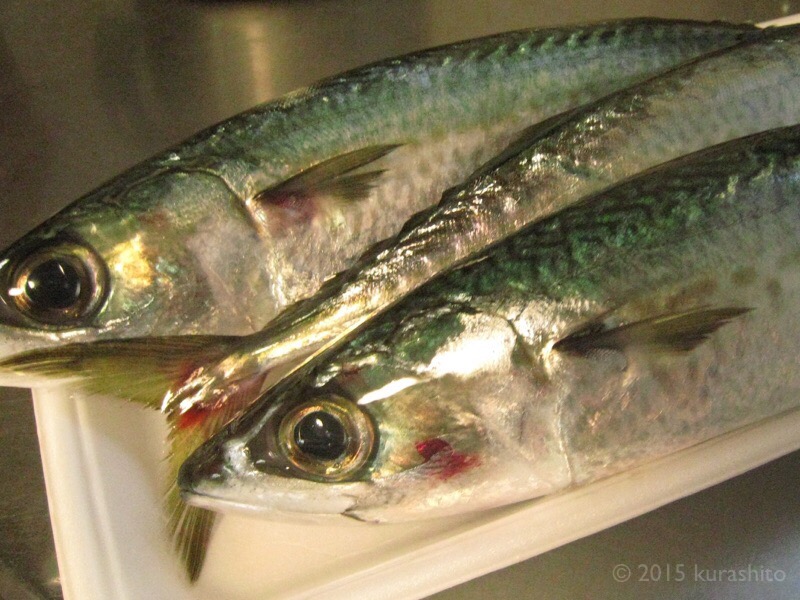 おうちでも骨まで、朝獲れサバの味噌煮。