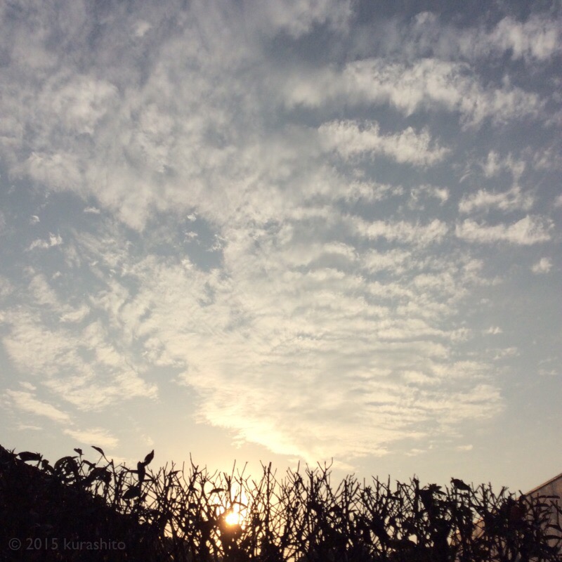 ふと気付けば、日々の暮らしの中、庭から見える夕空も、とても秋らしい景色。