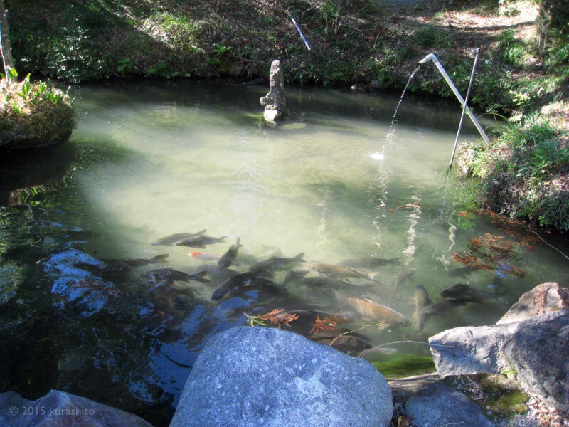 まるで化粧水な温泉