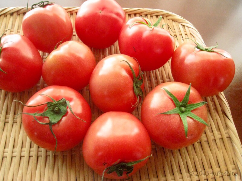 トマト１０個で２９９円！