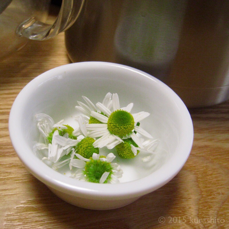 f:id:kurashito:20170508204359j:plain f:id:kurashito:20170508204359j:plain