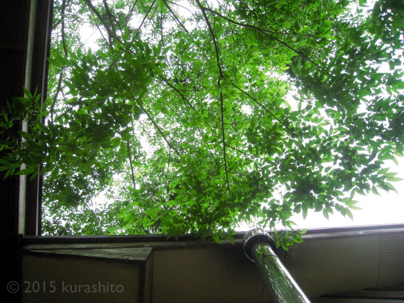 f:id:kurashito:20170508204543j:plain f:id:kurashito:20170508204543j:plain