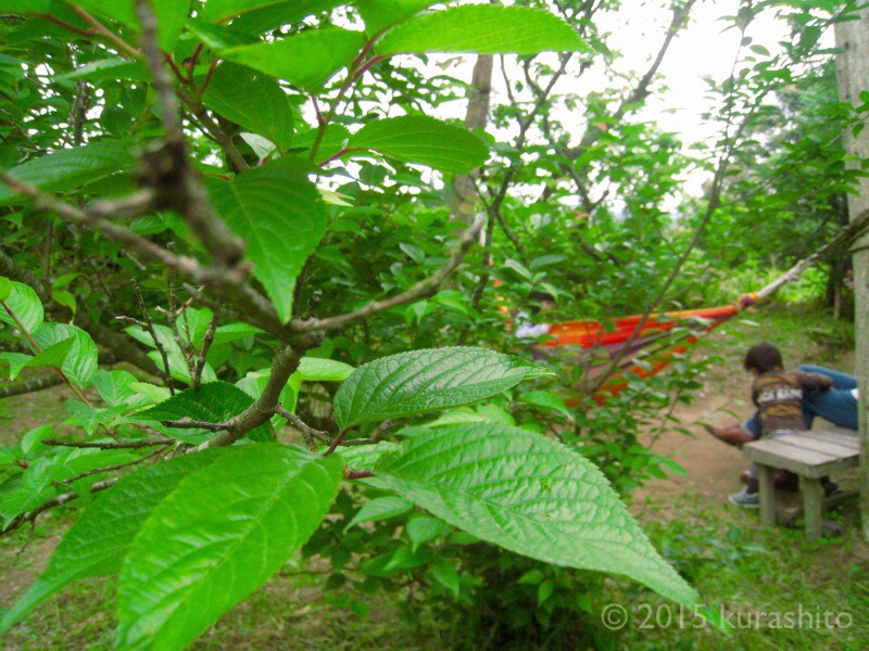 f:id:kurashito:20170508204547j:plain f:id:kurashito:20170508204547j:plain