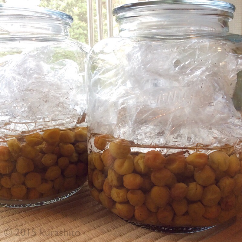 梅酢が上がった。 梅酢が上がった。