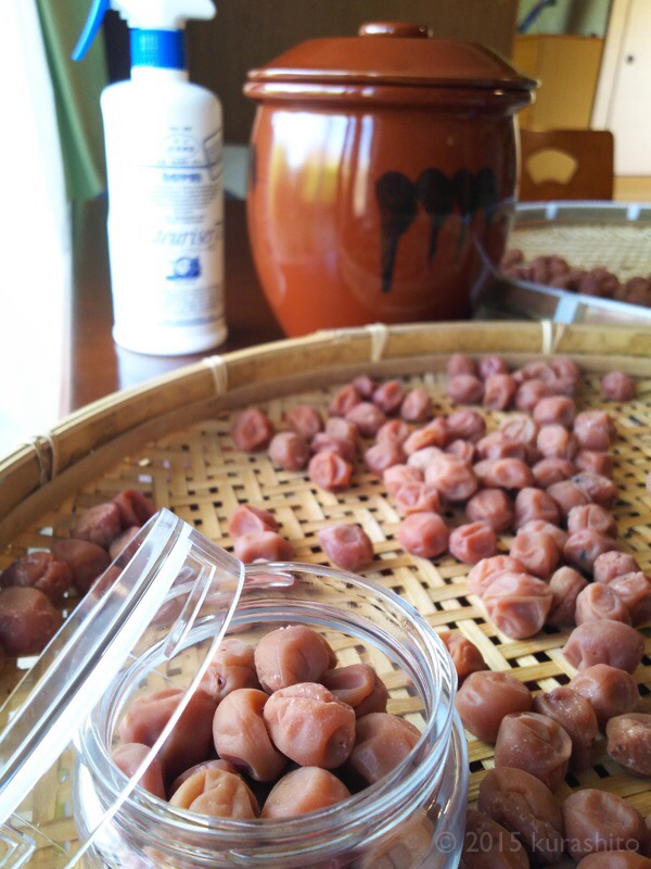 自家製梅干しの土用干し 自家製梅干しの土用干し