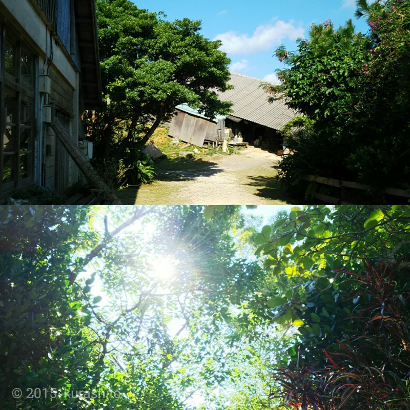 2017読谷山焼陶器市 2017読谷山焼陶器市