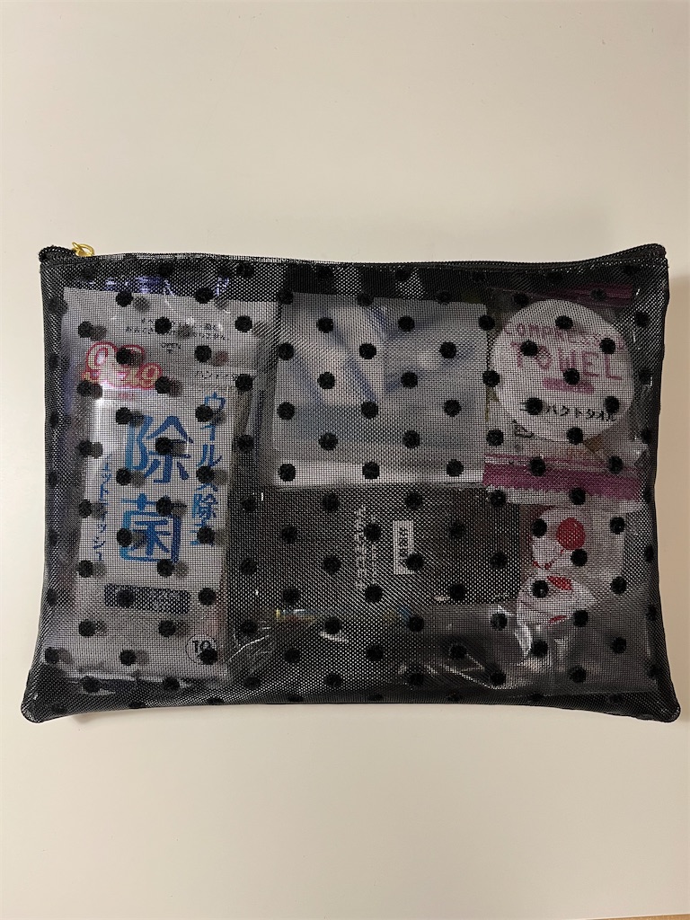 f:id:kurashitowatashi:20250313222010j:image
