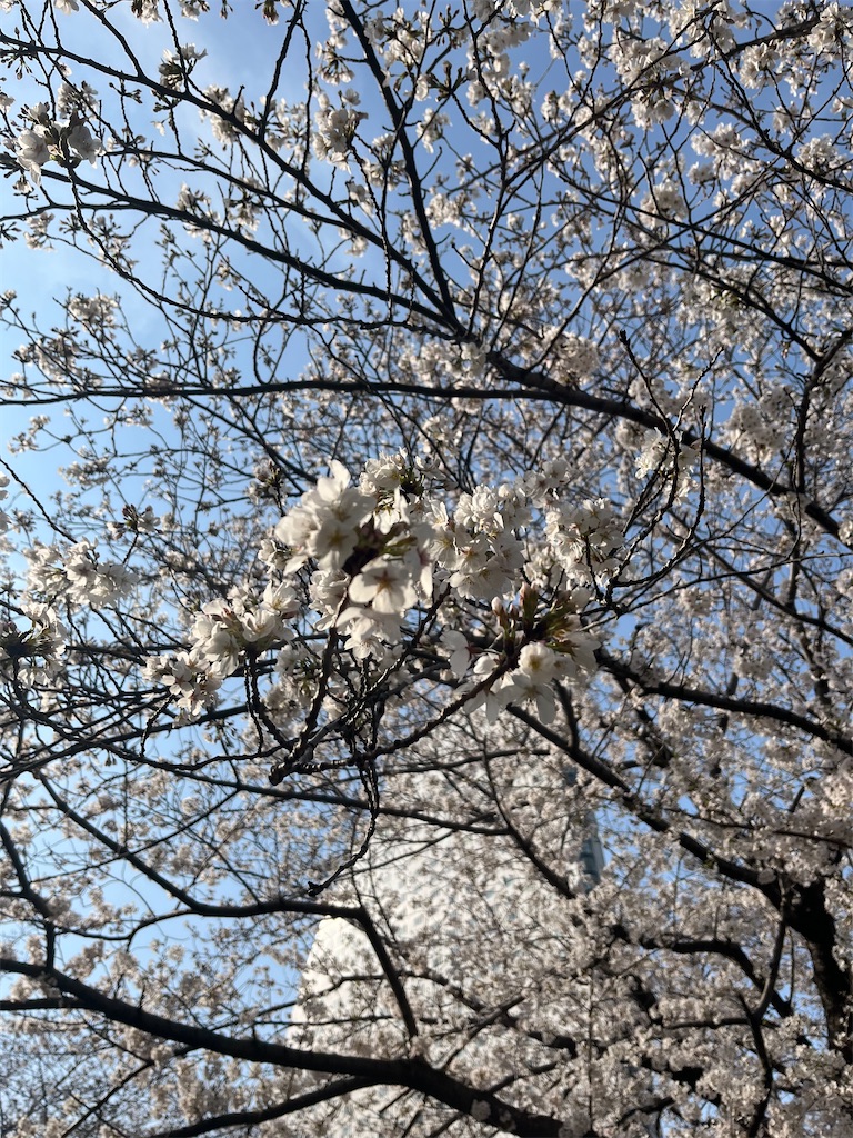 f:id:kurashitowatashi:20250330171239j:image