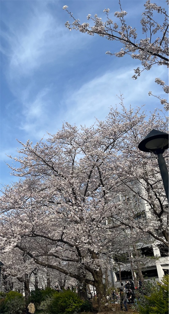 f:id:kurashitowatashi:20250330171243j:image