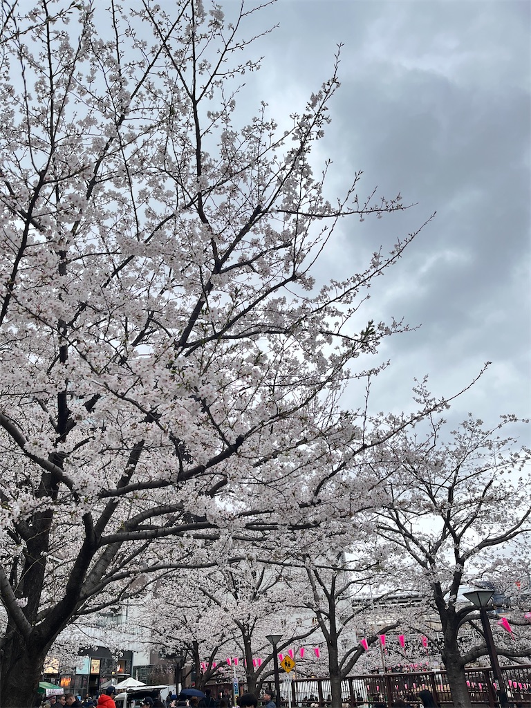 f:id:kurashitowatashi:20250402162955j:image
