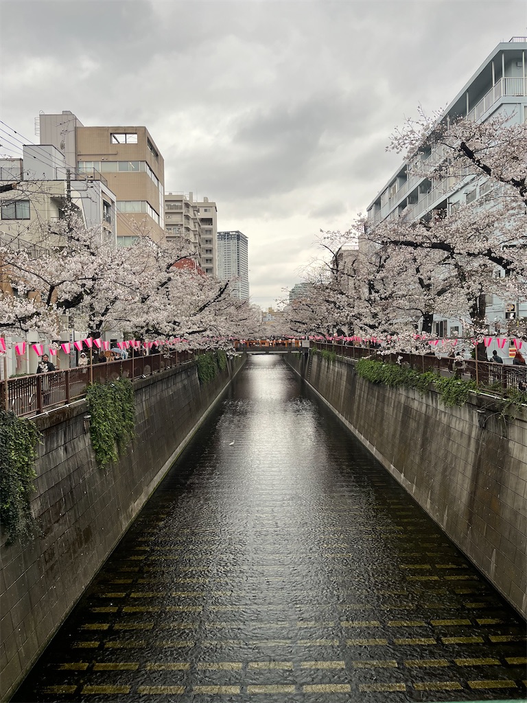f:id:kurashitowatashi:20250402163002j:image