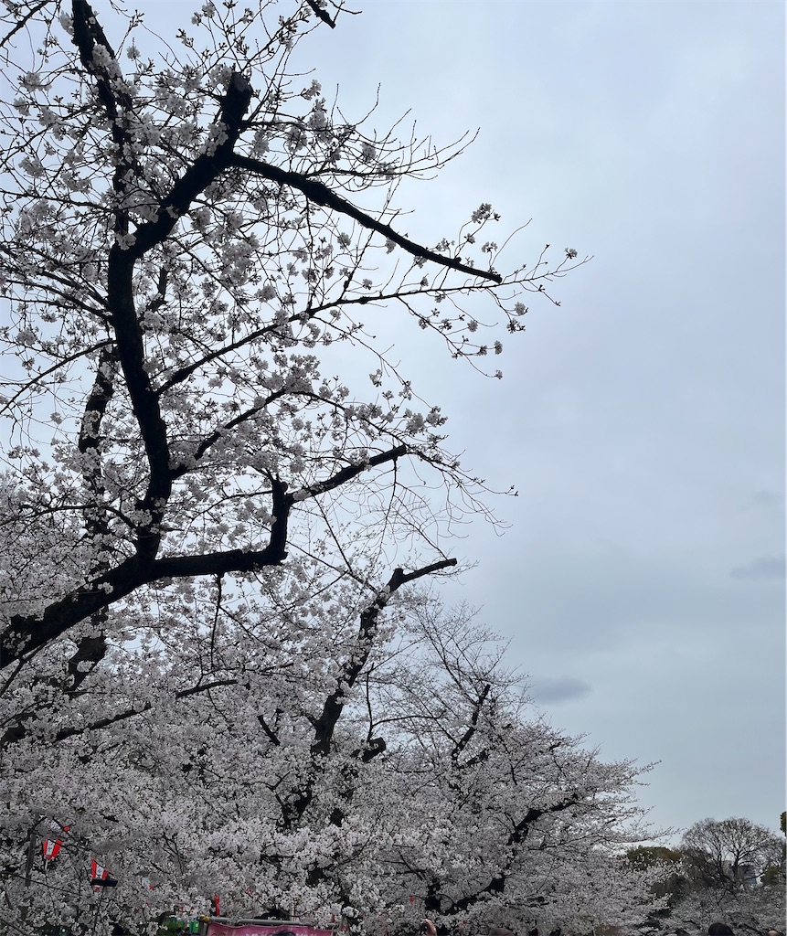 f:id:kurashitowatashi:20250421215148j:image