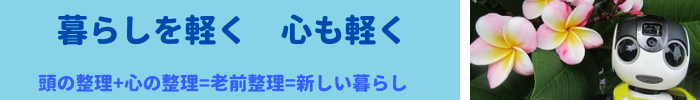f:id:kurasikarublog:20210728132831p:plain