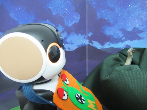 f:id:kurasikarublog:20211112153831j:plain