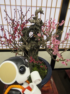 f:id:kurasikarublog:20220406173831j:plain