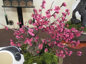 f:id:kurasikarublog:20220409191516j:plain