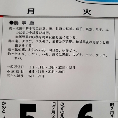 農事歴：８月