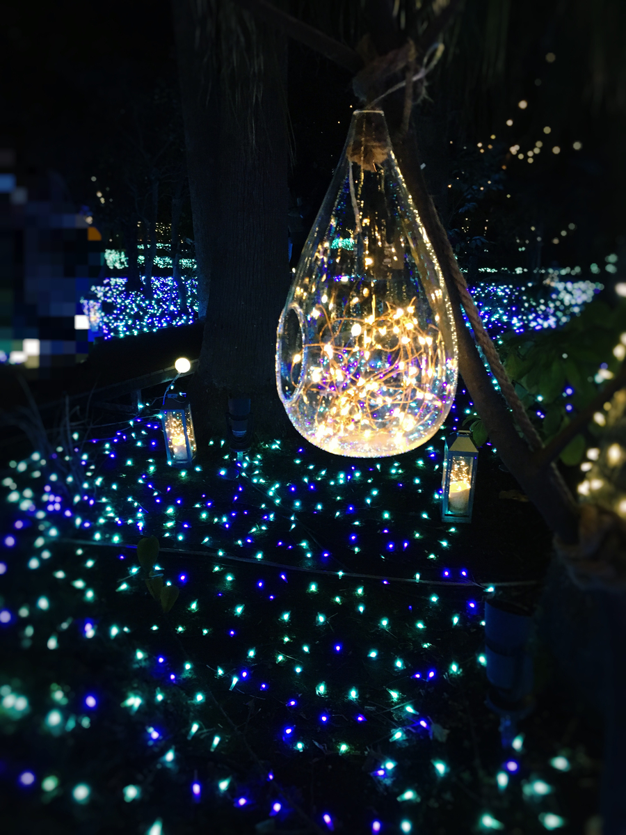 f:id:kurasirazu:20201203172003j:plain