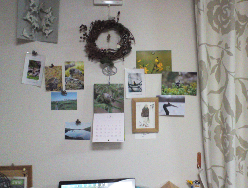 f:id:kurauchiryuko:20180105151319j:plain