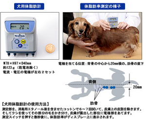 f:id:kurazou:20060607153120j:image