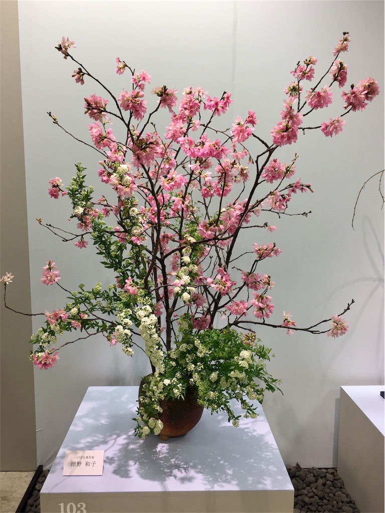 f:id:kurehaur:20190318152445j:image