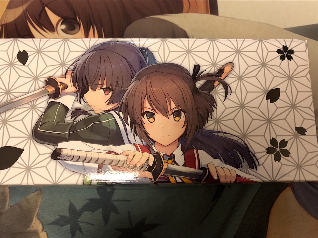 f:id:kurei_0716:20190116005656j:image