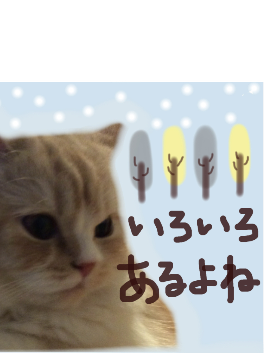 f:id:kurerin:20191128121140j:plain f:id:kurerin:20191128121140j:plain
