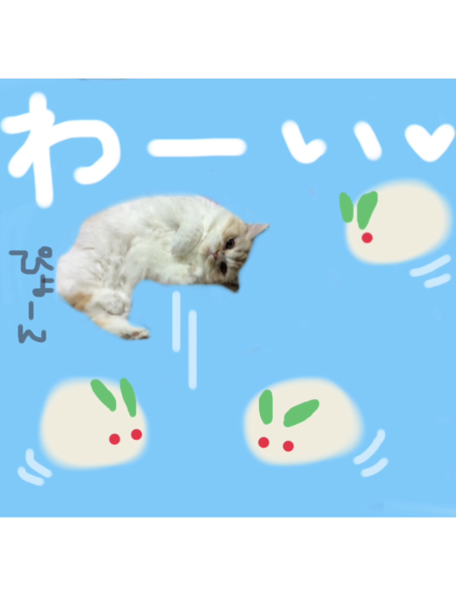 f:id:kurerin:20191202111400j:plain