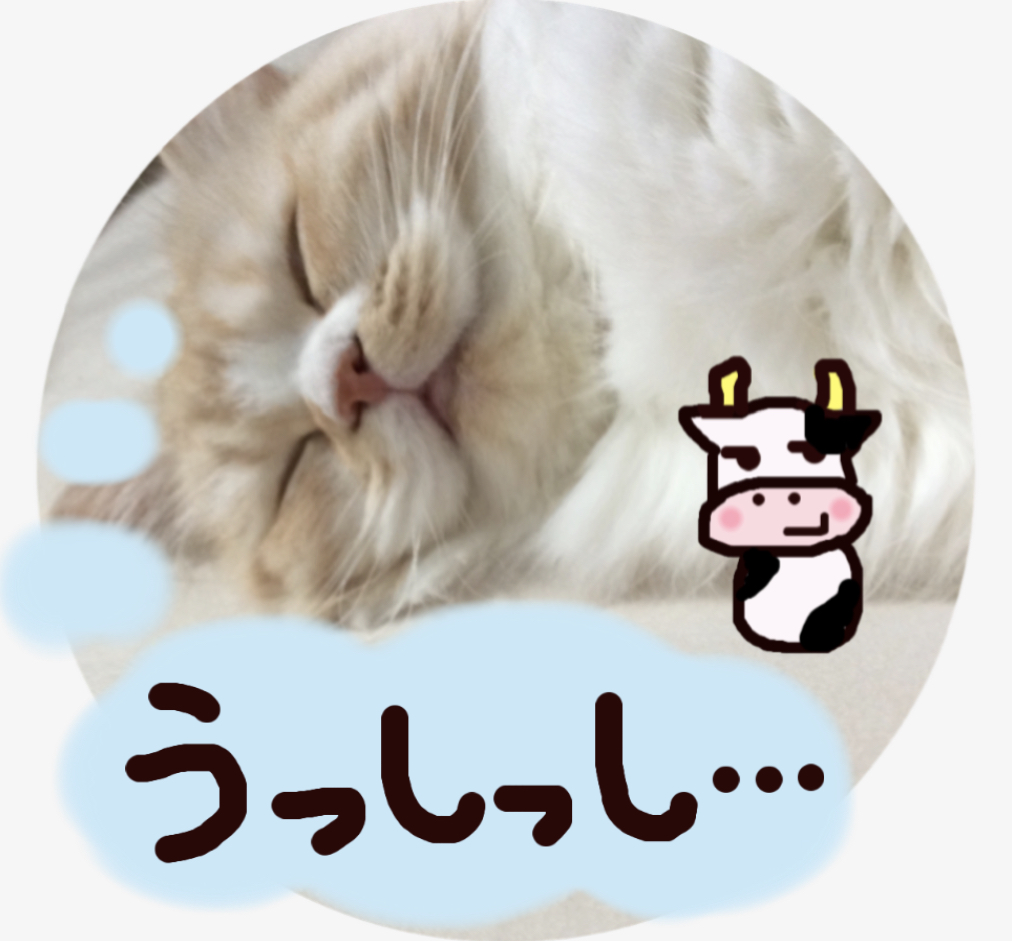 f:id:kurerin:20201129232641j:plain