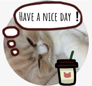 f:id:kurerin:20210119235914j:plain