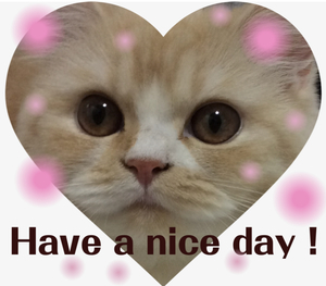 f:id:kurerin:20210126021008j:plain