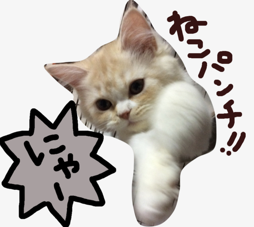 f:id:kurerin:20210211222832j:plain