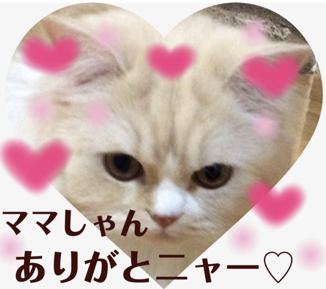 f:id:kurerin:20210211224939j:plain