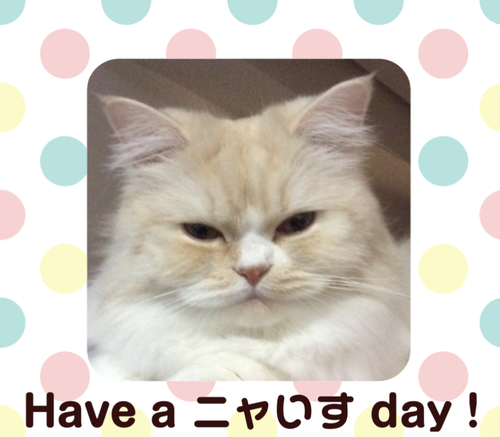 f:id:kurerin:20210212162323j:plain