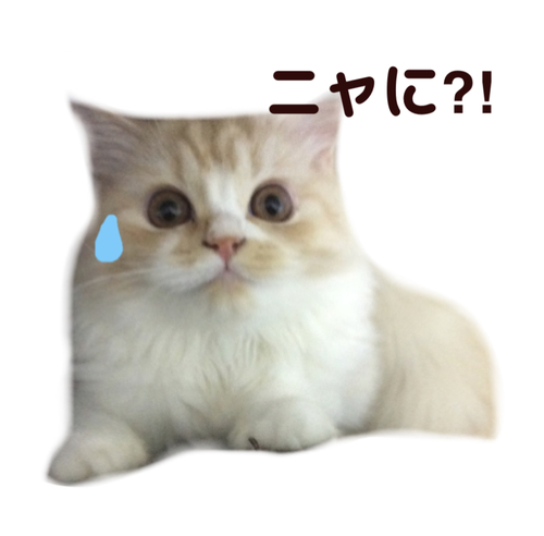f:id:kurerin:20210218023815j:plain