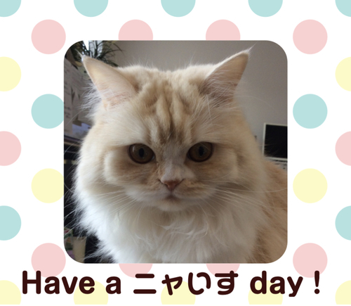 f:id:kurerin:20210218195241j:plain