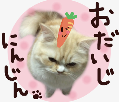 f:id:kurerin:20210220085219j:plain