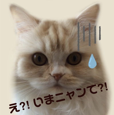 f:id:kurerin:20210221211001j:plain