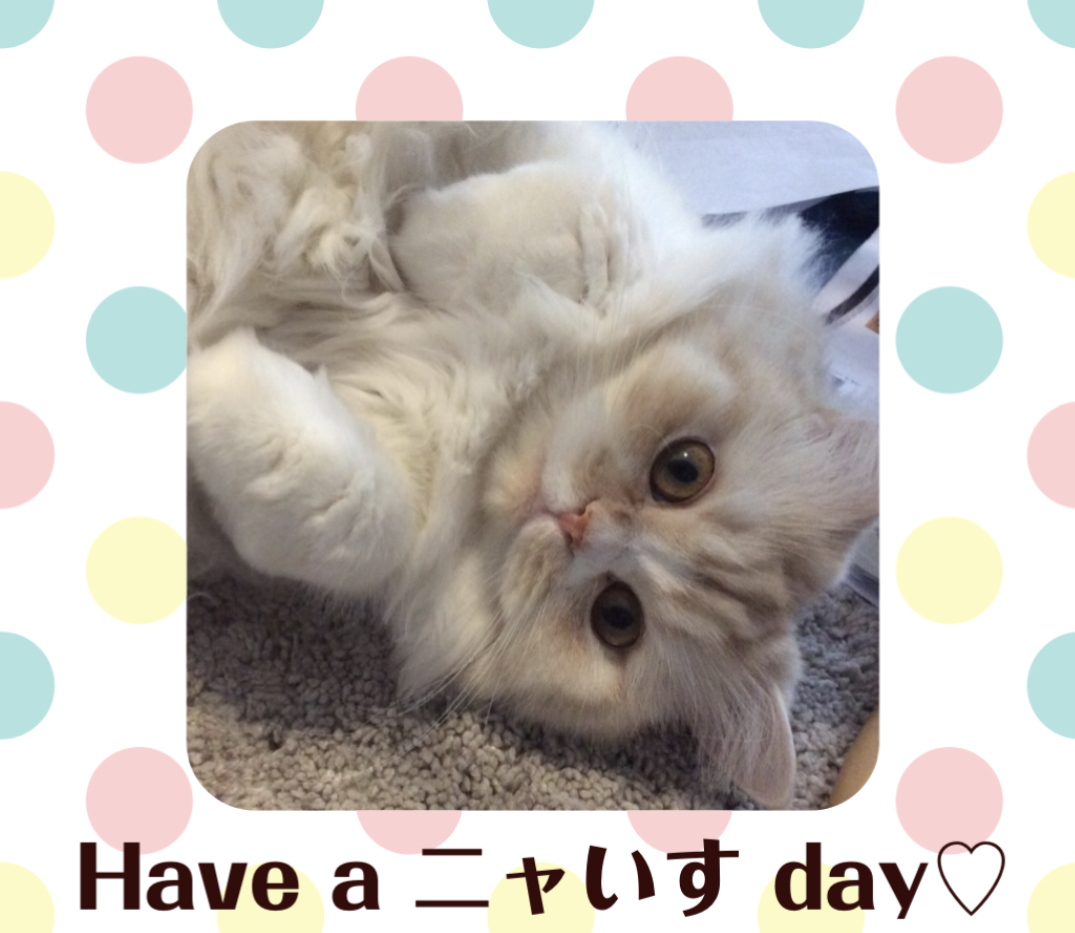 f:id:kurerin:20210223144419j:plain