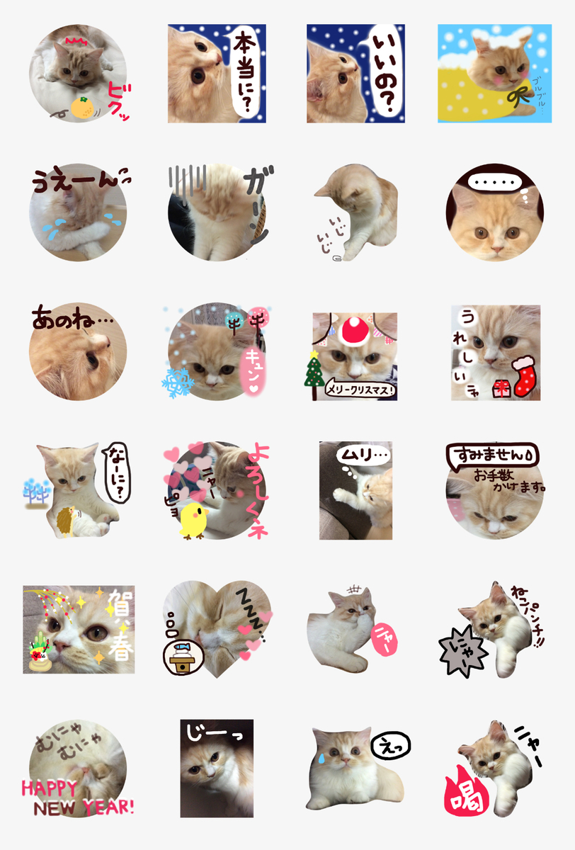 f:id:kurerin:20210224063703j:plain