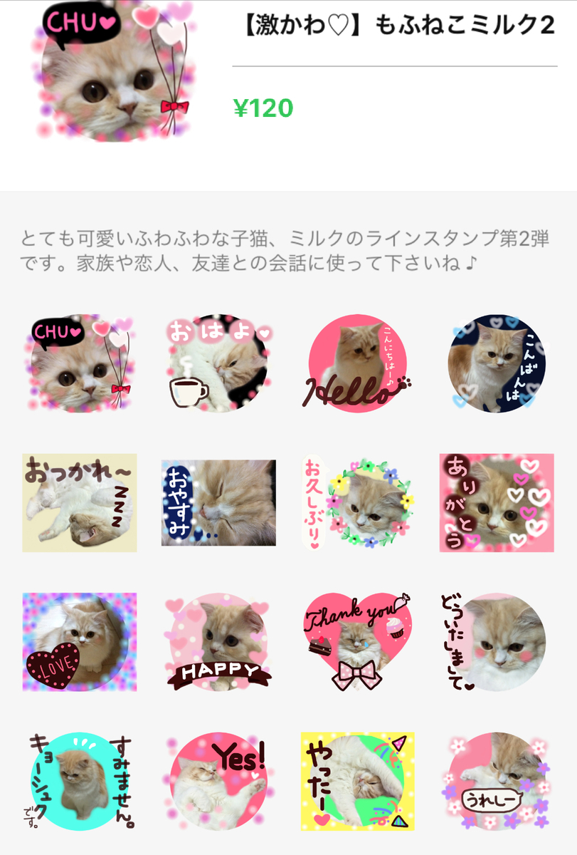f:id:kurerin:20210224145454j:plain