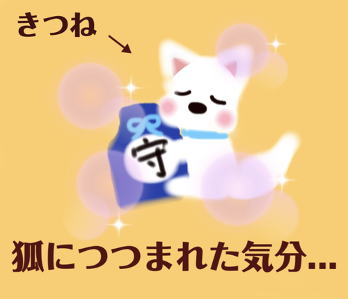 f:id:kurerin:20210226044610j:plain