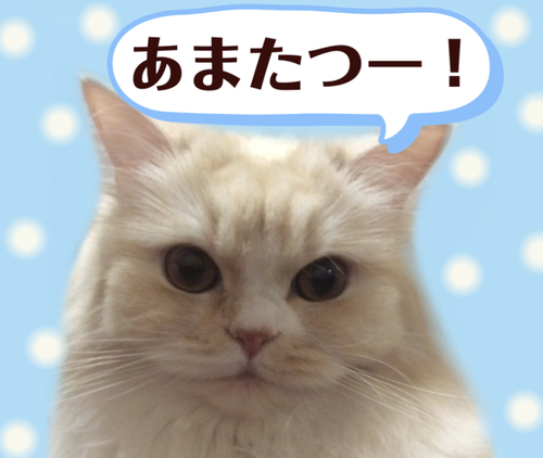 f:id:kurerin:20210301043835j:plain