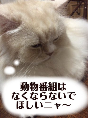 f:id:kurerin:20210301195059j:plain