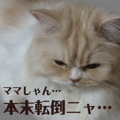 f:id:kurerin:20210303180437j:plain