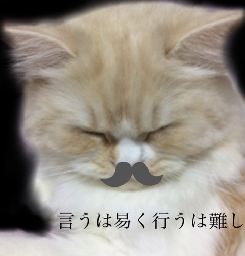 f:id:kurerin:20210303180510j:plain